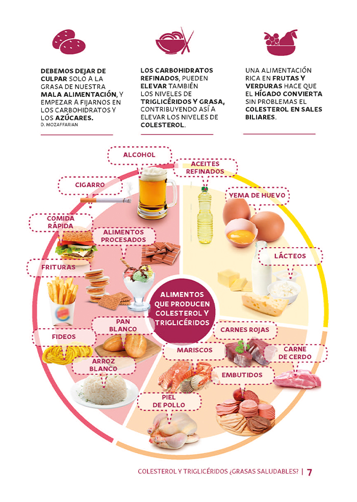 Revista Colesterol y Triglicéridos - Imagen 2