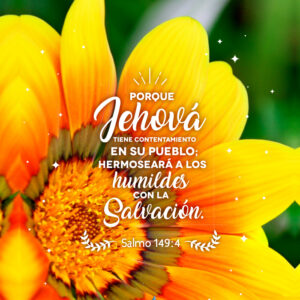 Cuaderno D-Ring Grande